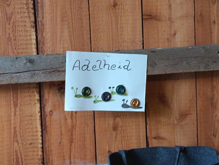 Schneckenbild